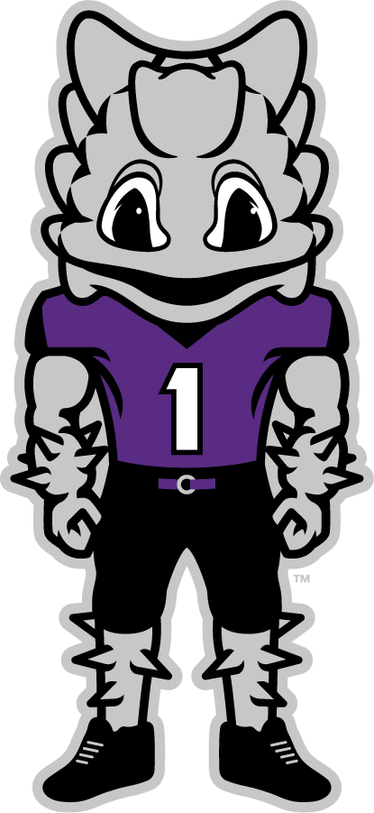 TCU Horned Frogs 2016-Pres Mascot Logo iron on transfers for T-shirts